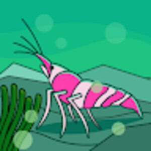 Meet your Posher, Jack